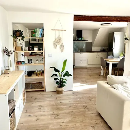 Wunderschoene Moderne Mit Balkon Apartment